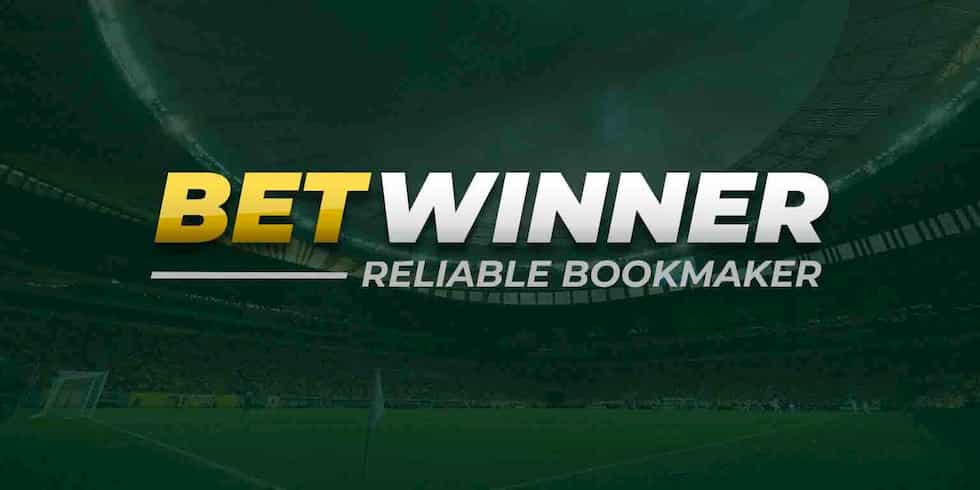 Maximizing Your Earnings as a Betwinner Partner